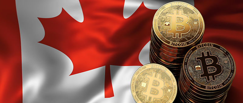 Clarity is Currency: How to Build Trust with Canadian Banks and Lenders Through Better Reporting